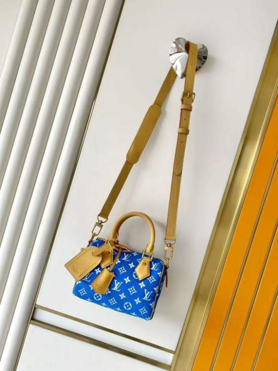 Picture of Louis Vuitton Handbags _SKUfw237317948fw